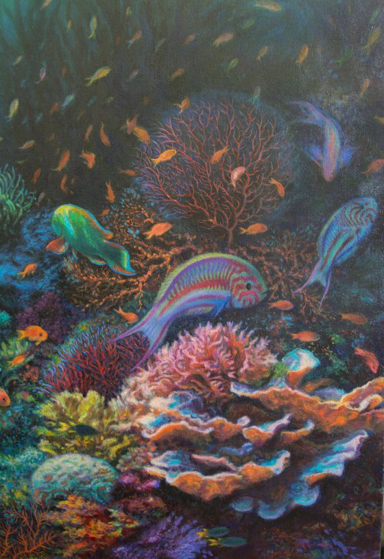 Coral Reef