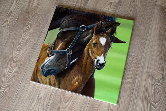 Horse's love /Motherhood 40 X 40 cm (Ready to hang)