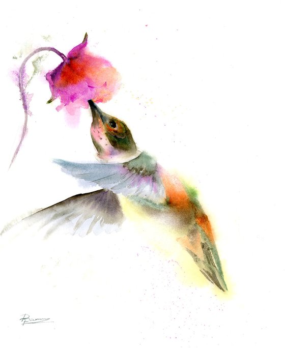 Hummingbird and pink flower