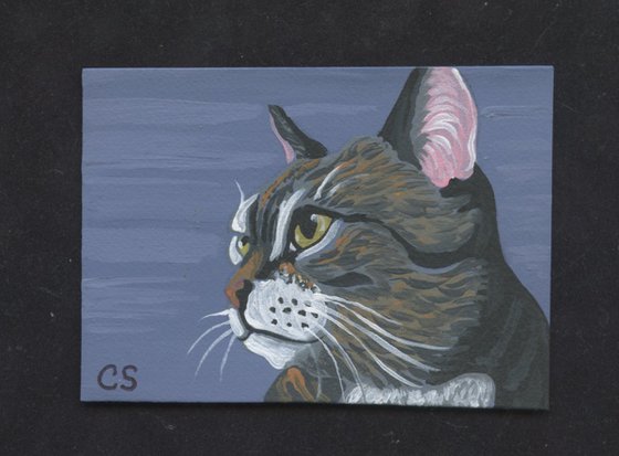 ACEO ATC Original Miniature Painting Grey Tabby Pet Cat Art-Carla Smale