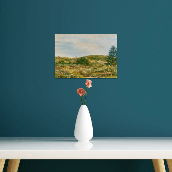 Godlingston heath, Dorset