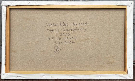 Water lilies in the pond