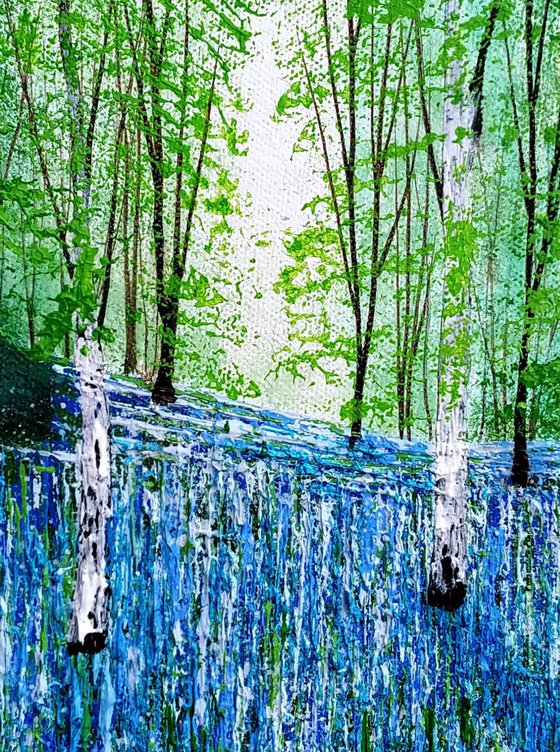 Blue Spring Forest Glade