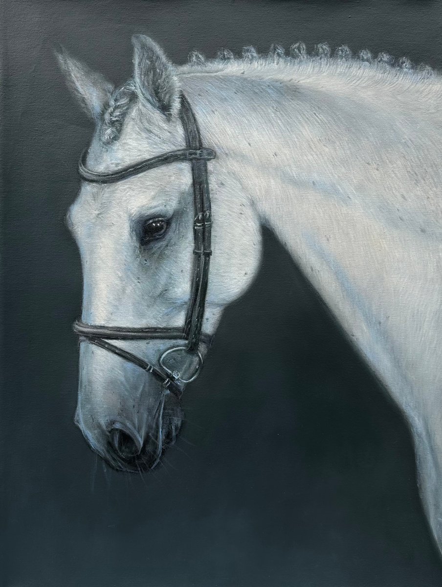 WHITE HORSE by Nataliia Zaharuk