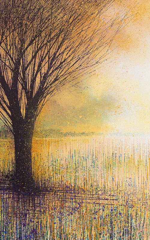 Winter Trees At Sunset by Marc Todd