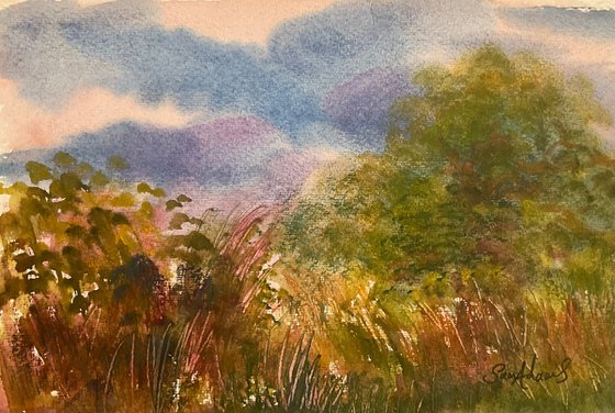 Summer sky