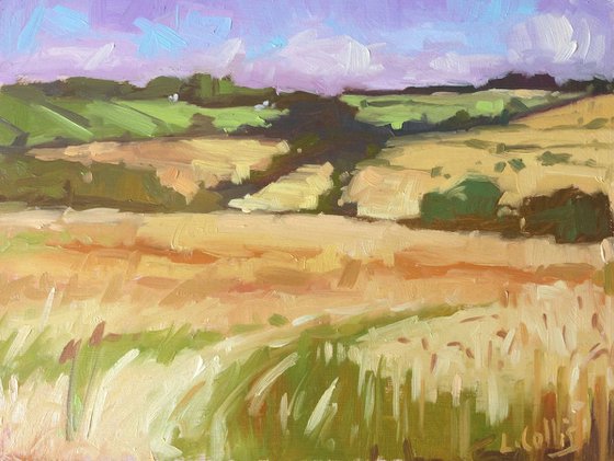 Summer Cotswolds Fields