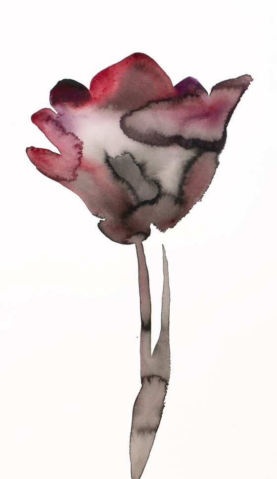 Tulip