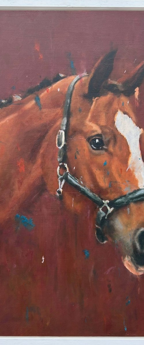 A Horse Called Ruby by Shaun Burgess
