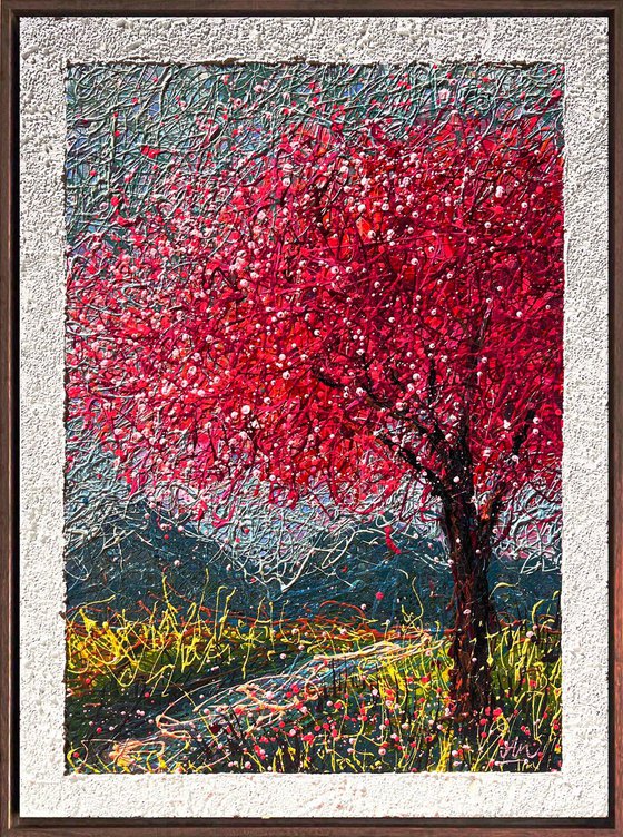 A Hidden Sanctuary - Framed