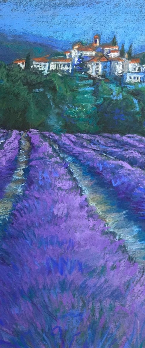 Lavender fields of France by Patricia Clements