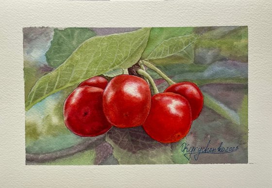 Ukrainian Summer: Taras's Cherries