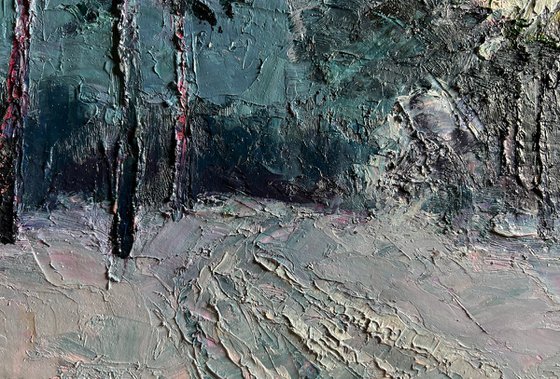 Winter Trail in the Forest