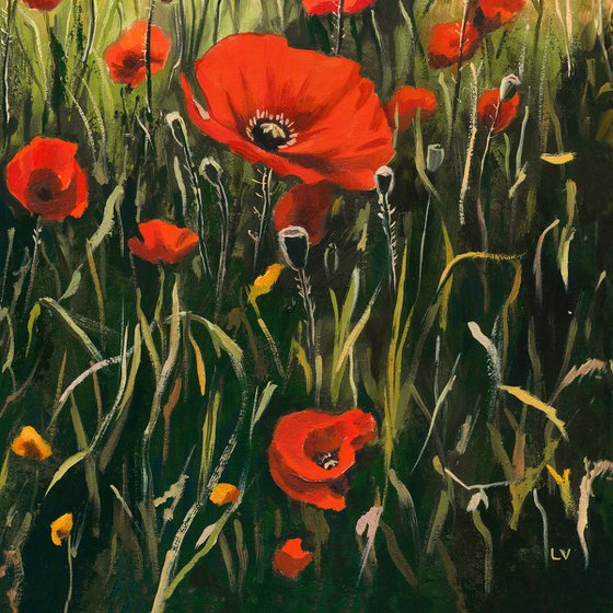 Woman in a red poppy field
