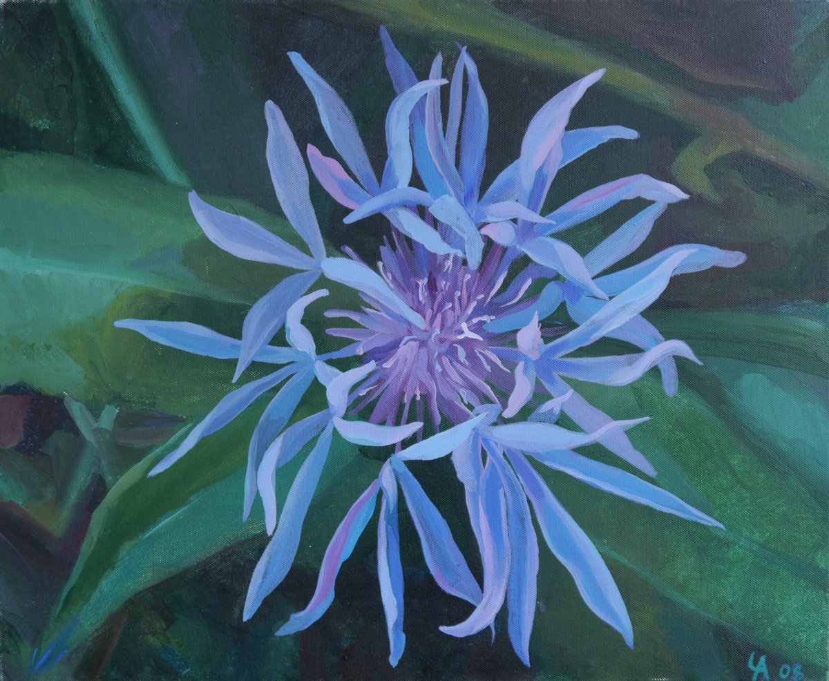  Blue Flower (De Wilde Bloem) By Anastasia Chernysheva, 24 X 20, Artwork For Sale On Artfinder