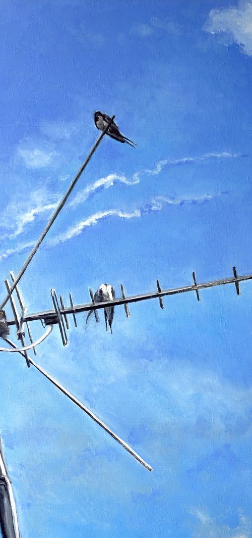 June 16 by Anatolii Varvarov