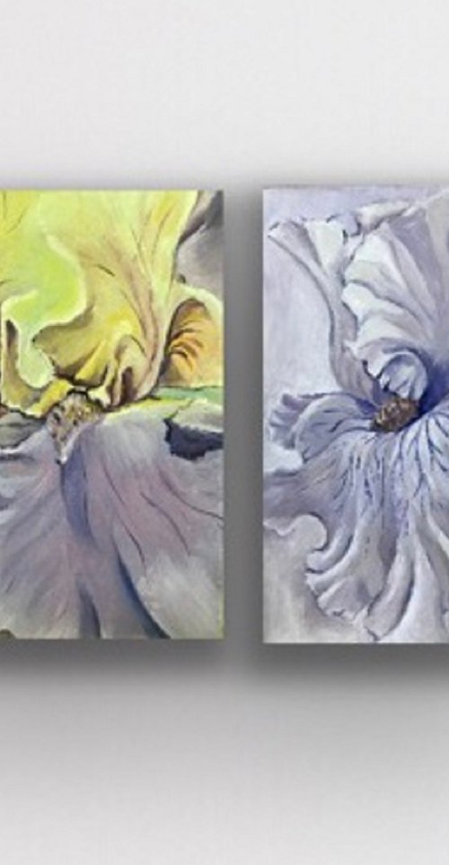 Set of 2 Flower oil artworks, Iris flower oi, Tropical flower,  floral Wall art,  Floral art oil painting gift for siste by Olga Volna