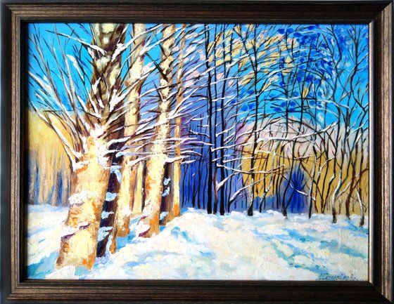 Poplars on a sunny winter day