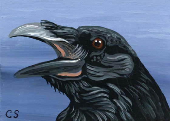 ACEO ATC Original Miniature Painting Black Raven Crow Bird Wildlife Art-Carla Smale