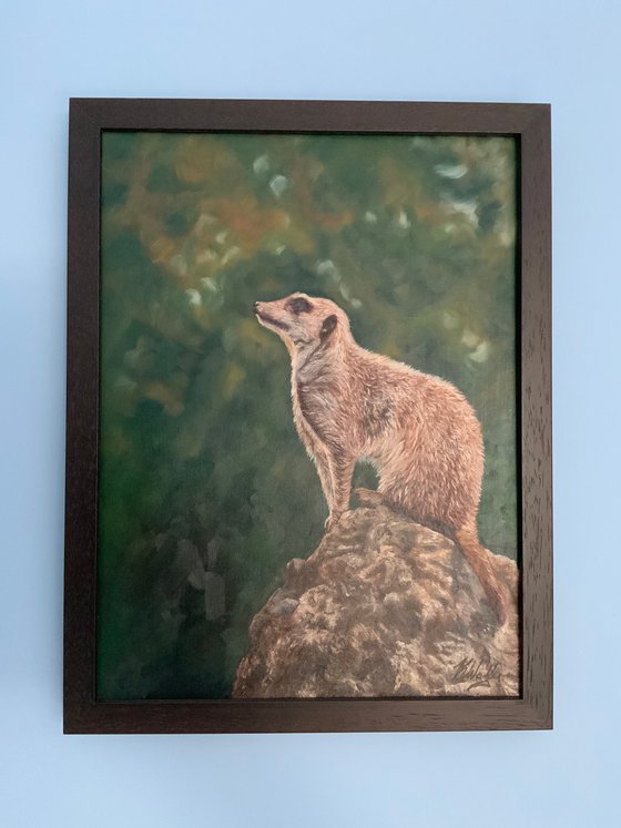 The lookout