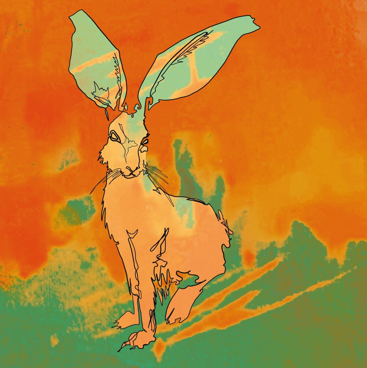 Mr. Rabbit by siMONA Ledl