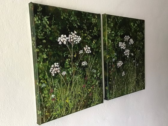 Devon Hedgerow