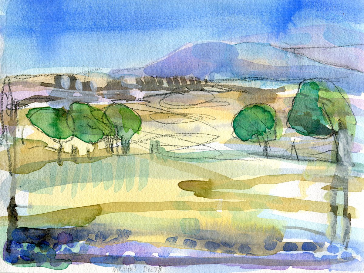 Blue Manifold Valley by Elizabeth Anne Fox