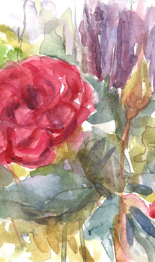 Roses in the garden by Elena Lykhodid