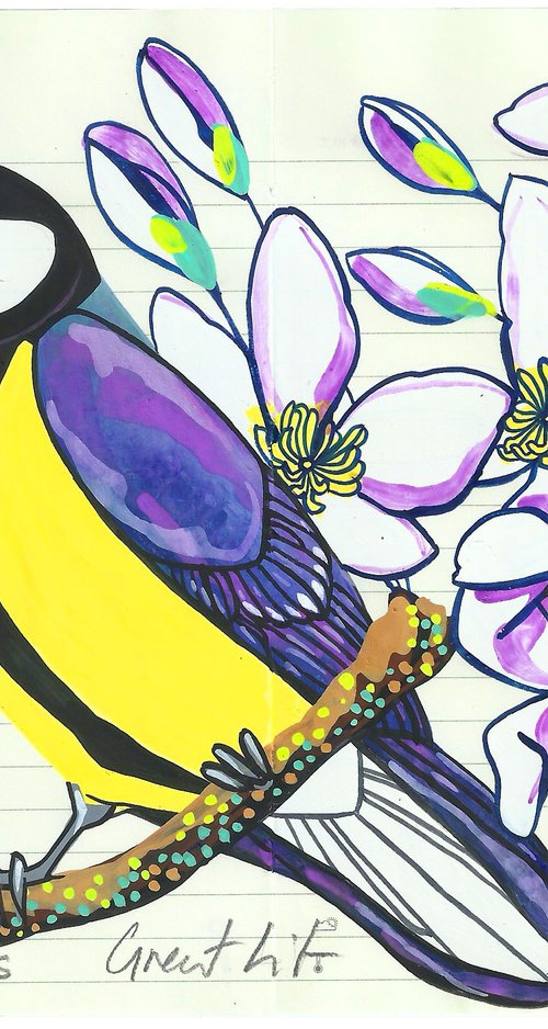 Birds of Europe: Great Tit by Fran Giffard