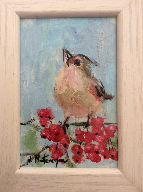 Bird on Cherries