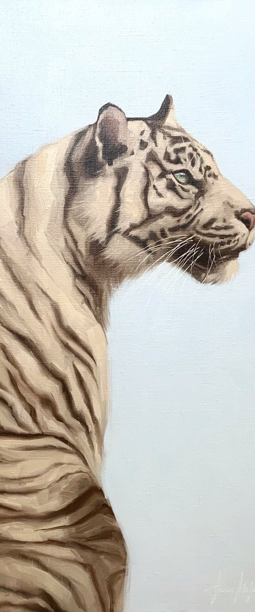 White tiger by Alina Marsovna