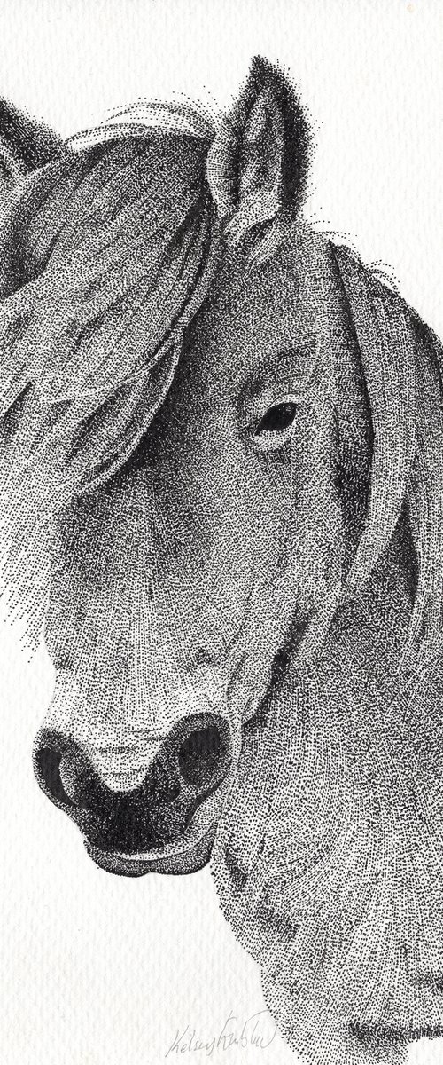 Dartmoor Pony - Original Stippling Illustration by Kelsey Emblow