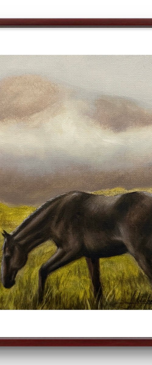 Black horse #3 by Alina Marsovna