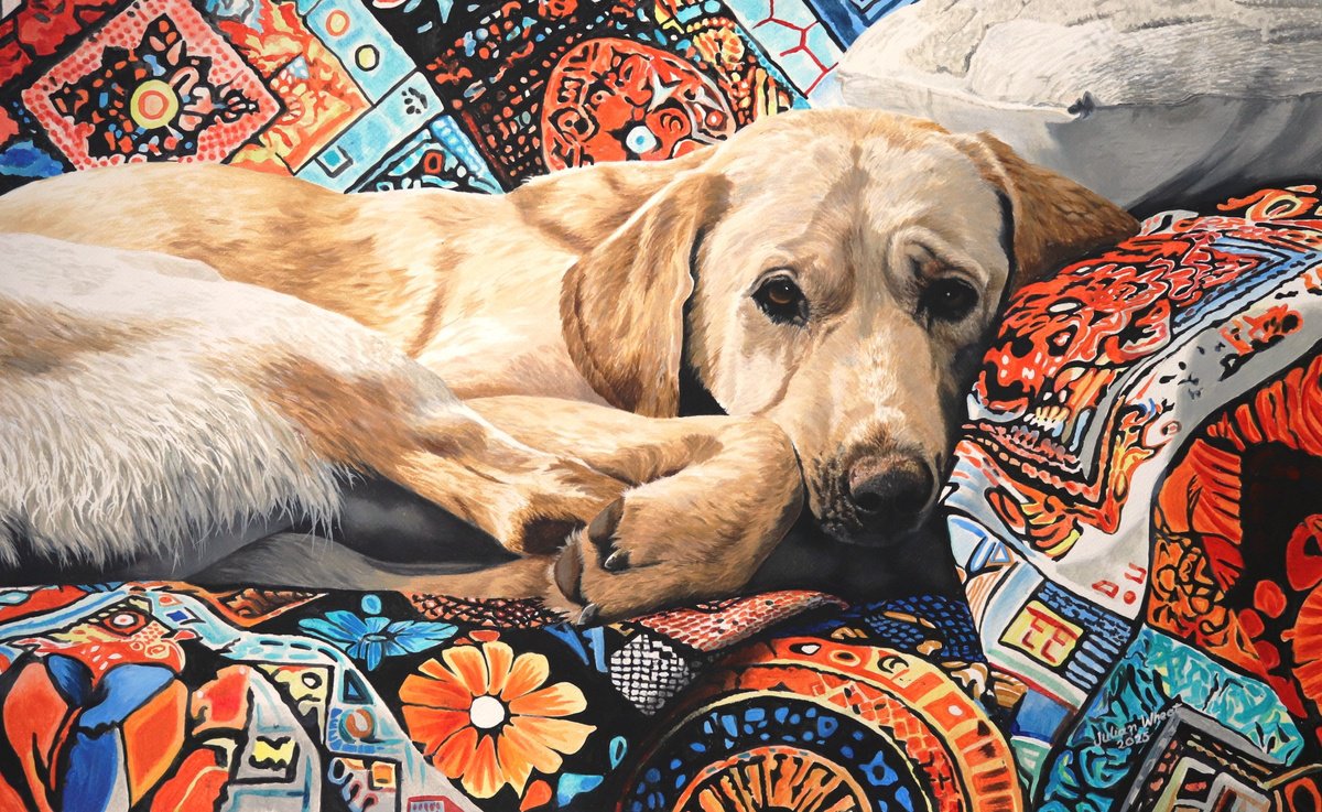 Photorealistic Animal Acrylic Painting By Julian Wheat, 27 X 17", Labrador Retriever, Original Artwork