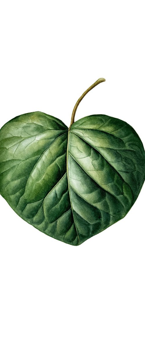 Leaf Ipomea Painting by Yuliia Prokopchuk