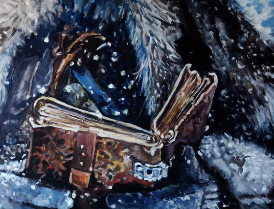 Diary of a Winter Journey