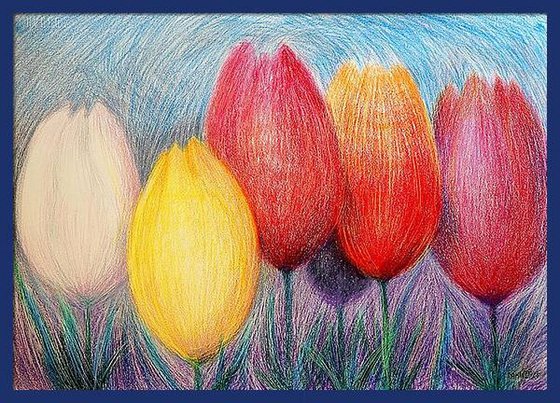 Tulips White 2