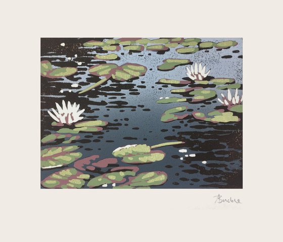 Mini Lily Pond