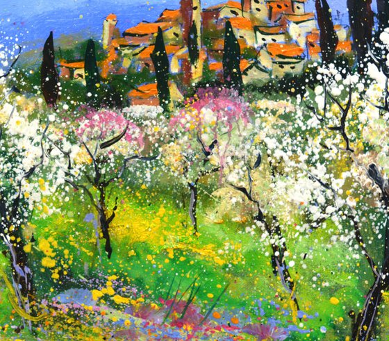 Spring inProvence