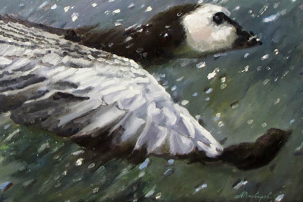 Photorealistic Animal Giclee Print By Anatolii Varvarov, 28 X 20, Traveler, Original Artwork