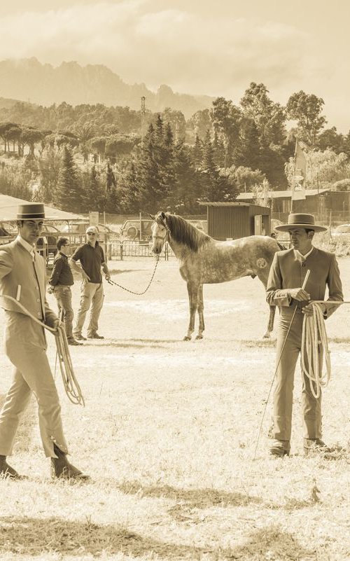 Tarifa Horse Festival 1. by Andrew Lever