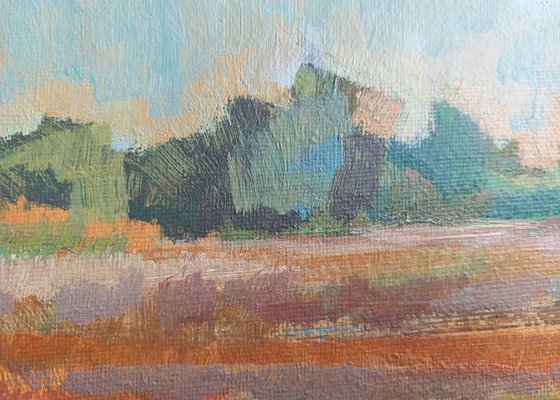 Longrun Meadow