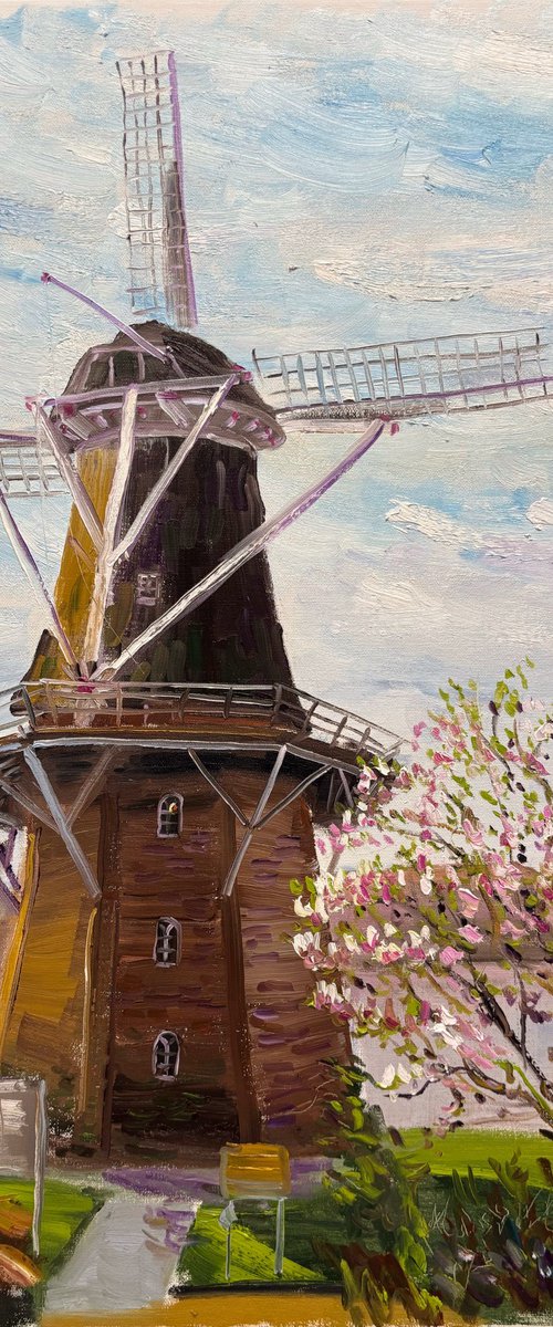 Magnolia and Historic Windmill by Dmitry Fedorov