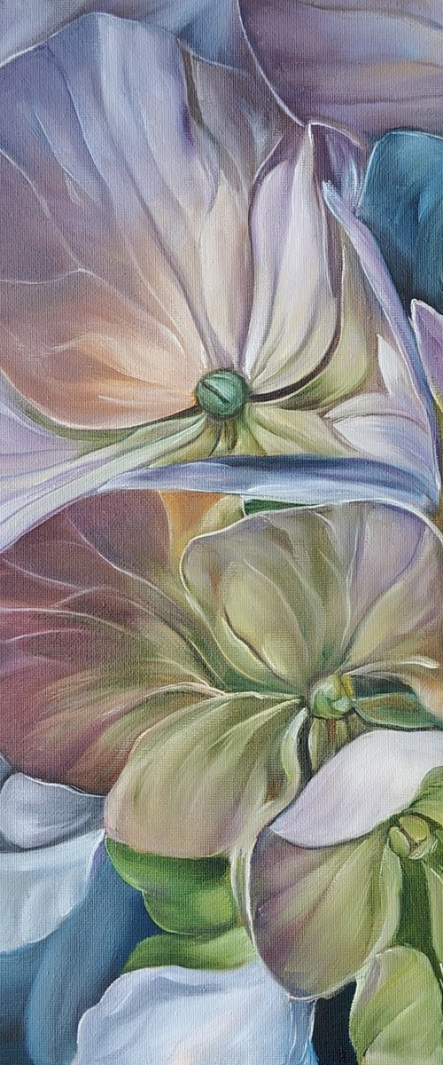 Hydrangea by Olga Van Dine