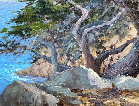 Seascape With Windblown Cypress
