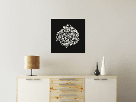 Narcissus from above