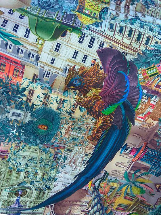 Draco