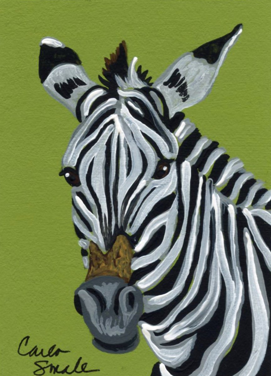 Zebra by Carla Smale