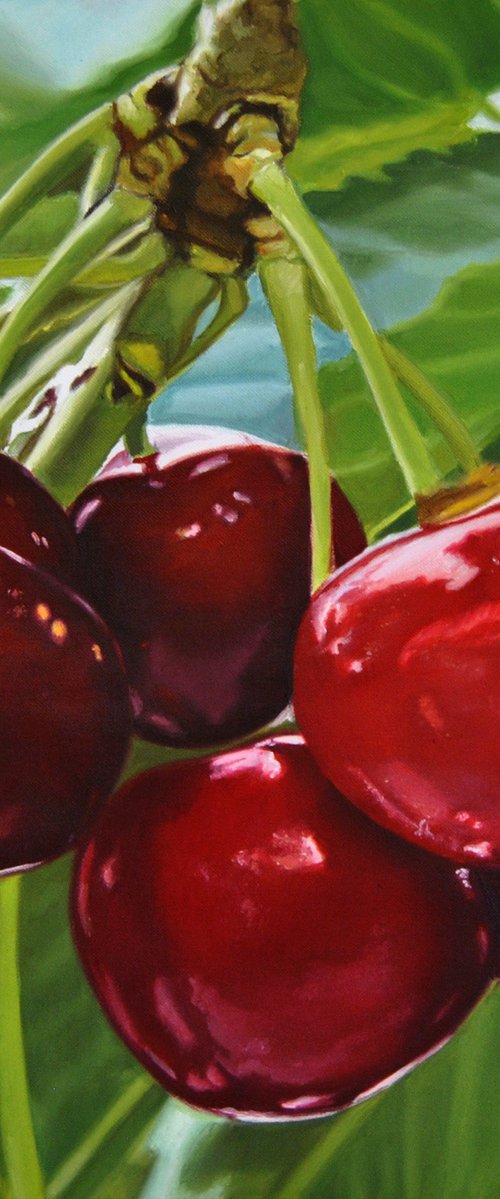 Cherries painting, Original oil on canvas realistic art by Simona Tsvetkova