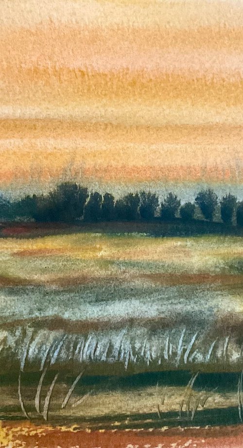 Wareham heath sunset to dusk by Samantha Adams